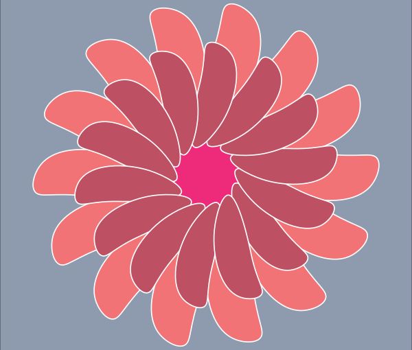  No provided alternate text for this image yet. 